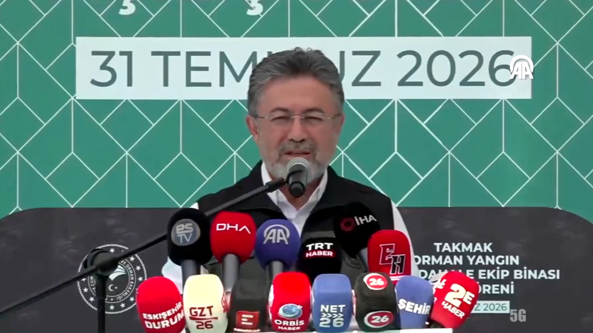 Orman Yangınları