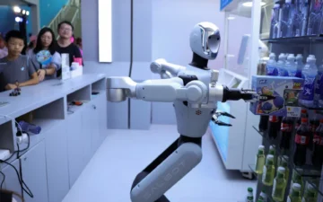 insansı robot