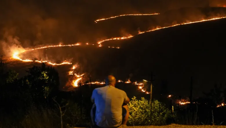 Nevada orman yangını