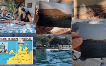Bodrum Orman Yatırımı
