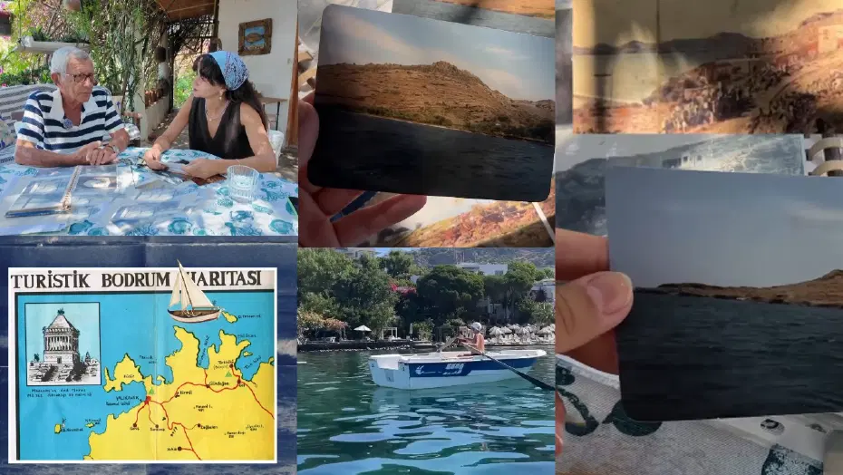 Bodrum Orman Yatırımı