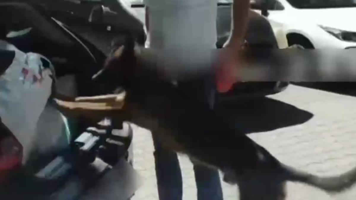 Sakarya uyuşturucu operasyonu