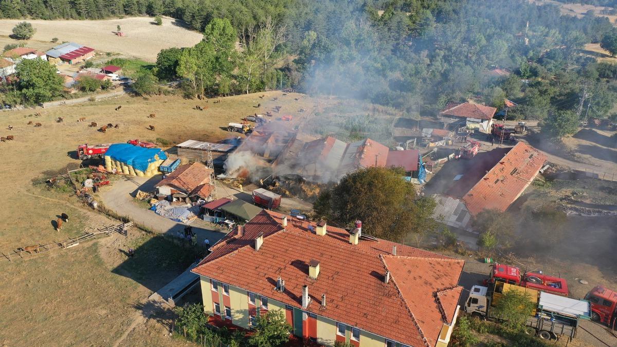 Kastamonu Yangınları