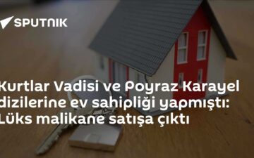 Kurtlar Vadisi
